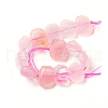 Natural Rose Quartz Beads Strands G-I283-B03-2