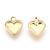 Ion Plating(IP) 304 Stainless Steel Charms STAS-G176-36G-A-2