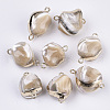 Natural Trochid Shell Links connectors SSHEL-R045-16-1