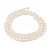 Electroplated Shell Pearl Beads Strands BSHE-Z009-10C-2