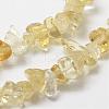 Natural Citrine Beads Strands G-F328-13-3