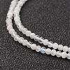 Natural Rainbow Moonstone Bead Strand G-G680-24-3