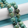 Natural Peruvian Turquoise(Jasper) Beads Strands G-A219-A05-04-4