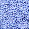 Baking Paint Glass Seed Beads SEED-H002-I-A530-3