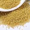 MIYUKI Delica Beads X-SEED-J020-DB2041-1