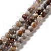 Natural Mexican Lace Agate Beads Strands G-E578-02A-1
