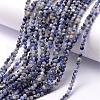 Natural Sodalite Bead Strands G-K146-47-3mm-2