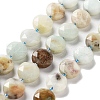 Natural Flower Amazonite Beads Strands G-NH0004-044-1