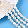 Natural Cultured Freshwater Pearl Beads Strands PEAR-N014-06I-1