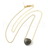 Natural Labradorite Heart Pendant Necklace with Golden Alloy Cable Chains NJEW-G116-01G-2