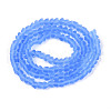 Frosted Transparent Glass Beads Strands GLAA-N016-4mm-05-2