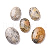 Natural Crazy Agate Cabochons G-P468-16B-02-1