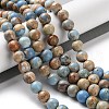Dyed Natural Regalite/Imperial Jasper/Sea Sediment Jasper Beads Strands G-B124-C01-03-2