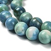 Dyed Natural Fire Crackle Agate Beads Strands G-G203-09A-10mm-4