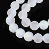 Frosted Transparent Glass Beads Strands GLAA-T032-T10mm-MBB13-3