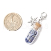 Chakra Natural Lapis Lazuli & Amethyst & Carnelian & Citrine & Garnet & Green Aventurine & Synthetic Turquoise Chips inside Glass Wishing Bottle Pendant Decoration HJEW-JM03310-3