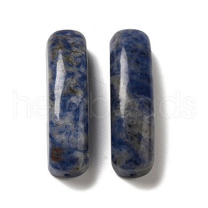 Natural Blue Spot Jasper Connector Charms G-G095-01B-1