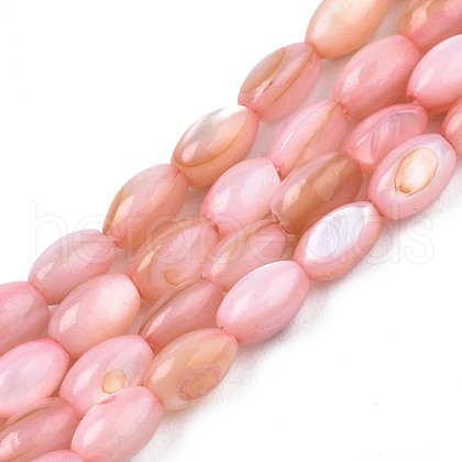 Freshwater Shell Beads Strands SHEL-T009-B15-02-1
