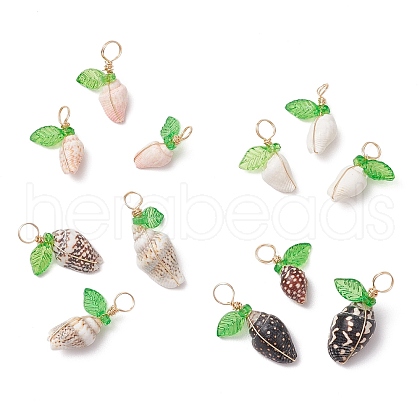 12Pcs 4 Styles Natural Sea Shell Copper Wire Wrapped Pendants PALLOY-JF03610-1
