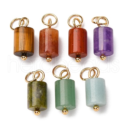 Natural Mixed Gemstone Column Charms with 304 Stainless Steel Jump Rings G-Q032-01-1