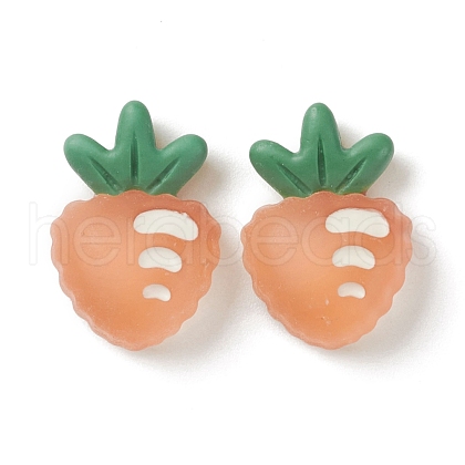 Transparent Resin Decoden Cabochons RESI-F024-04-1