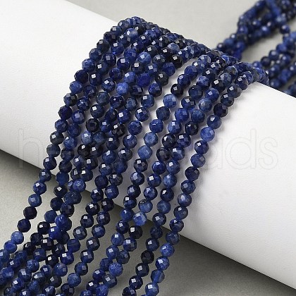 Natural Sodalite Beads Strands G-L622-C04-3mm-1