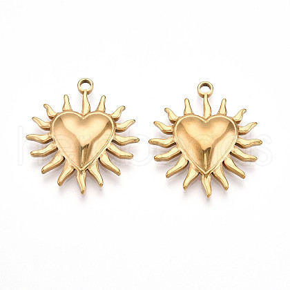 304 Stainless Steel Pendants STAS-N109-107G-1