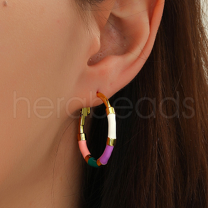 Elegant S925 Sterling Silver Hoop Earrings DH6227-1