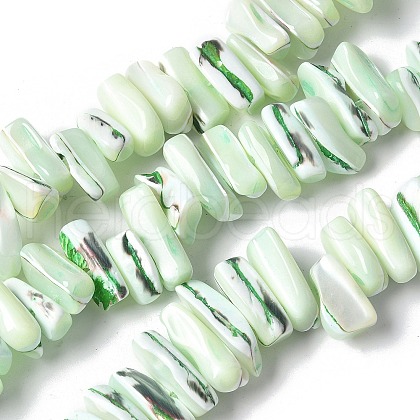 Dyed Natural Trochus Shell Beads Strands SSHEL-C013-09I-1