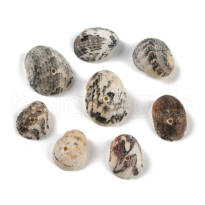 Natural Shell Pendants SHEL-K009-17A-1