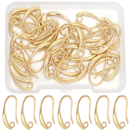 SUPERFINDINGS 40Pcs Brass Earring Hooks KK-FH0004-42-1