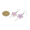 Star Resin Imitation Lollipop Dangle Earrings EJEW-JE06358-01-4
