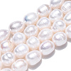 Natural Cultured Freshwater Pearl Beads Strands PEAR-N012-09C-4