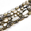 Natural White Shell Beads Strands SHEL-N036-21A-1