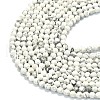 Natural Howlite Beads Strands G-A260-A25-01-3