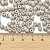 Baking Paint Pearlized Glass Seed Beads SEED-C001-04A-17-4