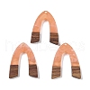 Resin & Wood Pendants WOOD-F015-16E-1