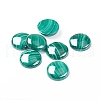 Natural Malachite Cabochons X-G-E557-06G-2