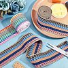 CHGCRAFT 4 Yards 2 Styles Nylon Elastic Ribbon OCOR-CA0001-07-4