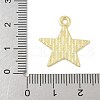 Independence Day Alloy Enamel Pandants FIND-M083-05O-G-3