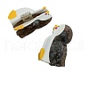Cellulose Acetate(Resin) Claw Hair Clips PW-WGEBC13-01-3