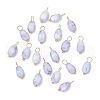 20Pcs Opaque Baking Painted Crackle Glass Charms PALLOY-JF03952-03-1