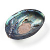Natural Paua Shell Beads SSHEL-Q298-22-3