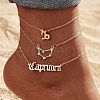 Alloy Crystal Rhinestone 3 Layer Constellations Link Chain Anklets for Women FS-WGFDDF7-12-1