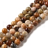 Natural Crazy Agate Round Bead Strands X-G-M272-03-6mm-1