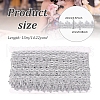 Sparkle Polyester Lace Ribbon OCOR-WH0080-34C-2