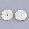 Natural White Shell Beads SSHEL-R045-23-2