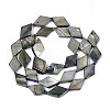 Dyed Natural Freshwater Shell Beads Strands SHEL-T020-13A-2