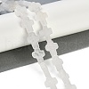 Natural Quartz Crystal Beads Strands G-I369-A01-02-2
