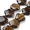 Natural Tiger Eye Beads Strands G-F769-H01-02-1